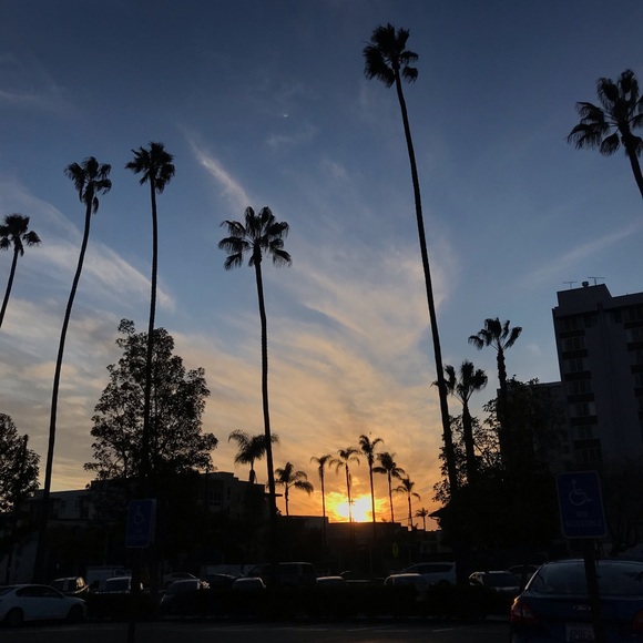 Meet your Posher, Joe - Picture 1 of 1